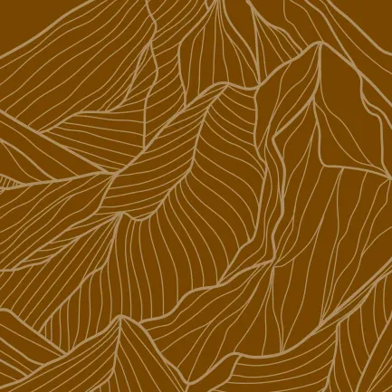 Le plus célèbre des sommets